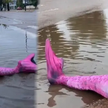 بسبب الفيضانات حورية البحر تظهر بالدار البيضاء في المغرب