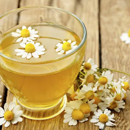 فوائد البابونج لا تجعليها تفوتك أبداً... بالانفوغرافيك