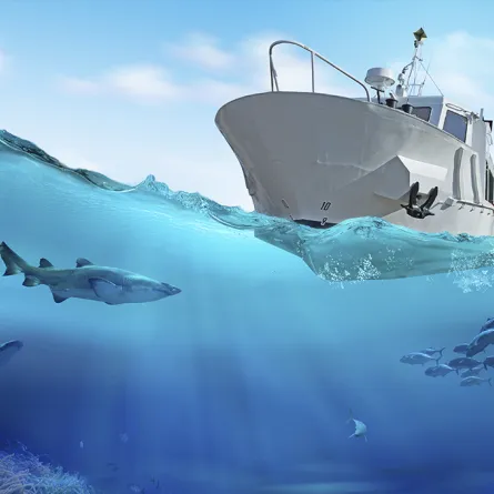 أغرب الكائنات البحرية.. شفافة