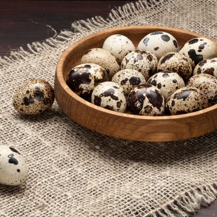 بيض السمان له فوائد صجية جمّة