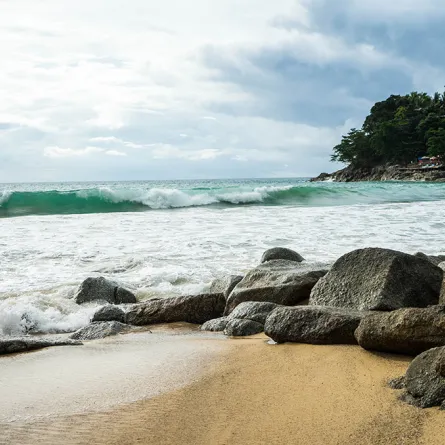 العثور على سمكة قرش عمرها 150 مليون عام