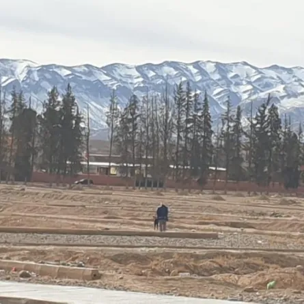 ثلوج وبَرد في مناطق جبلية بالمغرب يعزز قيم التضامن