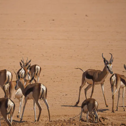 خاص بهواة الطبيعة: باقات من "هيئة السياحة" لزيارة 3 محميات 