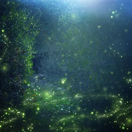 اكتشاف حشرة مضيئة عمرها 100 مليون عام داخل قطعة كهرمان