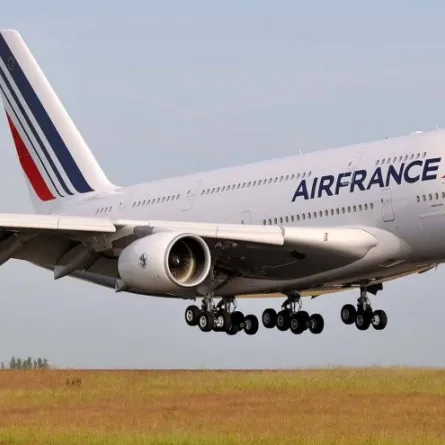 اختبأ في عجلات الطائرة للوصول إلى بريطانيا..ماذا كان مصيرهما؟!