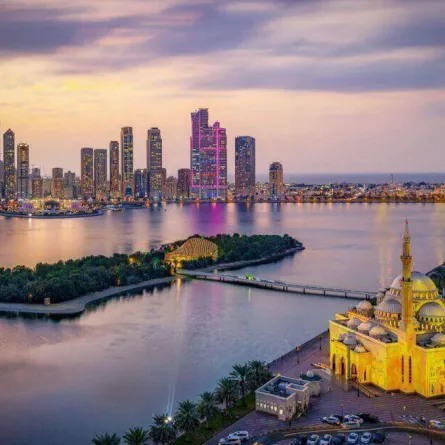  جائزة الشارقة للإبداع العربي..في الدورة ال24