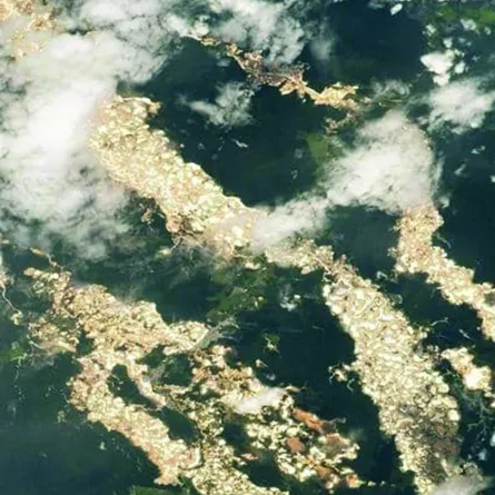 ناسا تكشف «أنهار الذهب» في الأمازون