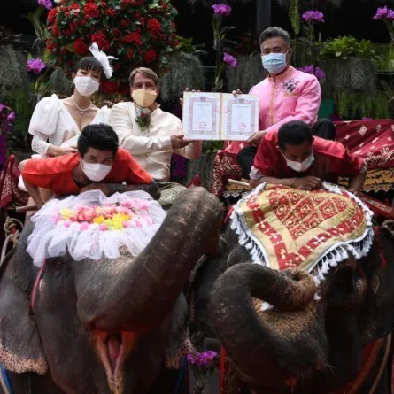 زفاف جماعي على ظهور الأفيال