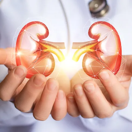 أسباب ألم الكلى المفاجئ