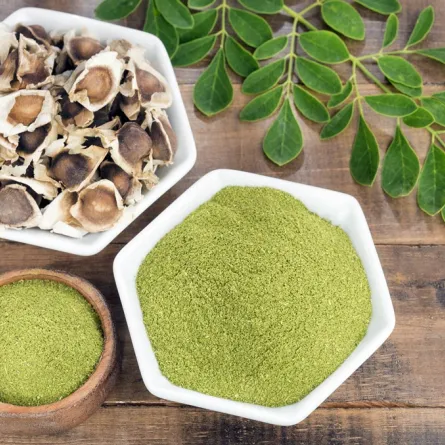 فوائد المورينجا للأعصاب خارقة.. هل اختبرتها؟