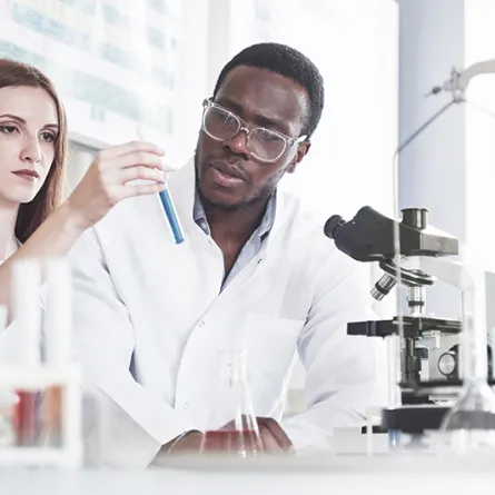 دراسة حديثة تكشف التنوع البشري منذ 300000 عام