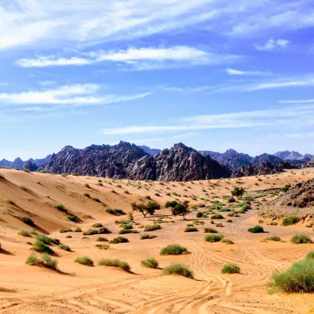 أماكن سياحية في السعودية لم تسمع عنها من قبل