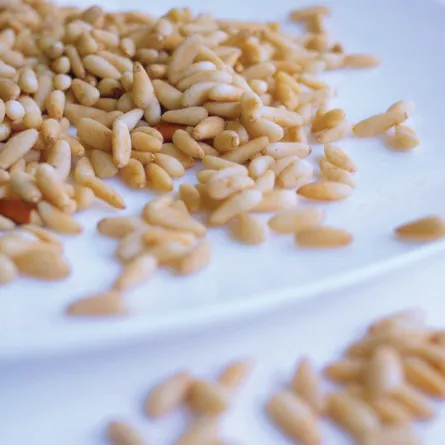 فوائد الصنوبر للنساء في علاج القلق مهمة