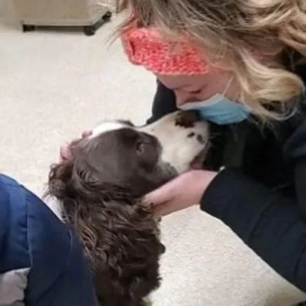 إنقاذ كلب ظل في بئر مغطاة بالثلج 43 يومًا