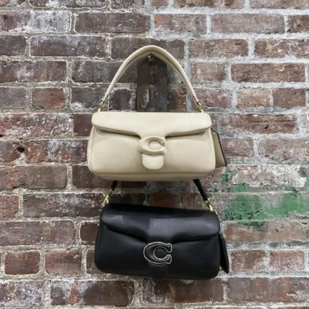 كوتش تطلق وسادة Tabby بمشاركة النجمات