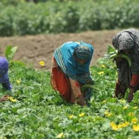 منظمة أمميّة: 37% من النساء في الدول العربيّة يُعانين من العنف!