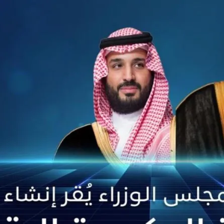 أبرز مهام هيئة الحكومة الرقمية التي أقرها مجلس الوزراء السعودي 