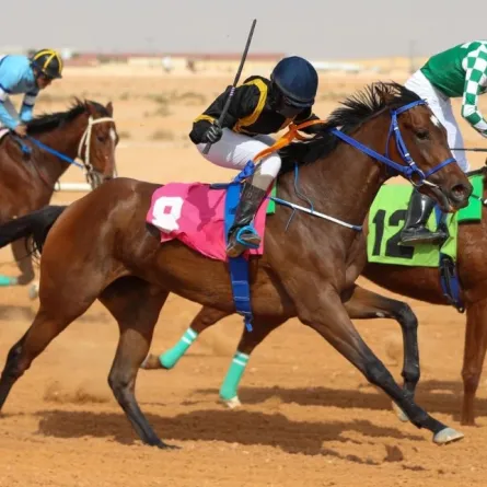 الفارسة مضاوي القحطاني أول سعودية تحصل على "رخصة خيال"