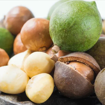 فوائد المكاديميا للنساء خارقة.. ربما لم تفكري بها من قبل!