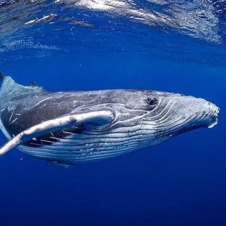 دراسة حديثة