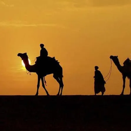 توثيق طريق الهجرة النبوية ودرب الأنبياء والقوافل