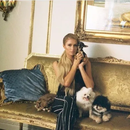 باريس هيلتون تعبر عن عمق حبها لكلبتها بإهدائها حقيبة هيرميس بقيمة 5500 دولار