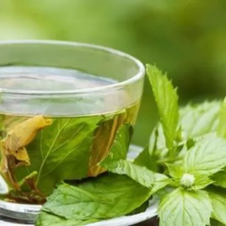 طبيب سعودي: الشاي الأخضر لا يحرق الدهون وهذا الأسلوب الأمثل لفقدان الوزن