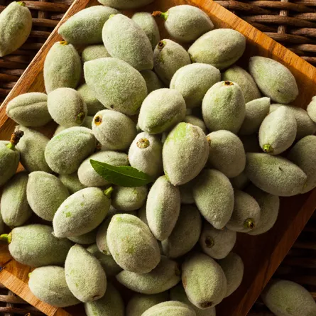 فوائد اللوز الأخضر للنساء تحسّن الصحة