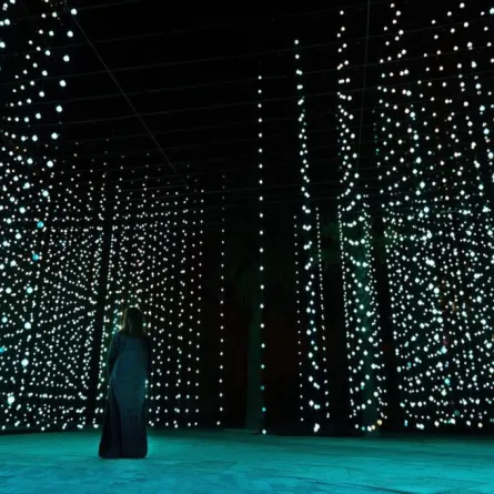 بمشاركة 300 ألف زائر..  ختام فعالية نور الرياض