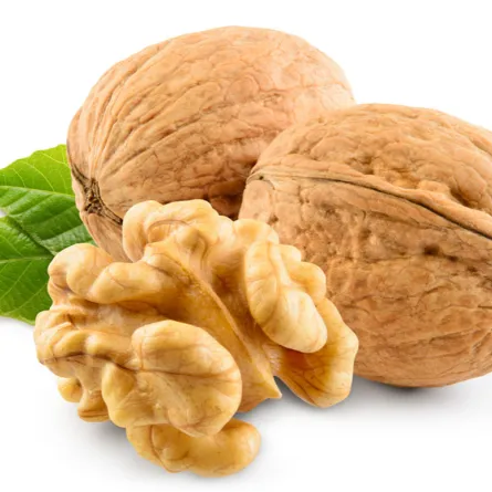 فوائد الجوز للأطفال