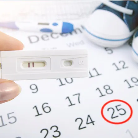 الطريقة الصحيحة لحساب أيام التبويض 