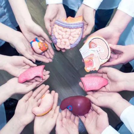 حدوث عطل على موقع التبرع بالأعضاء الإلكتروني بعد حلقة أحمد الشقيري