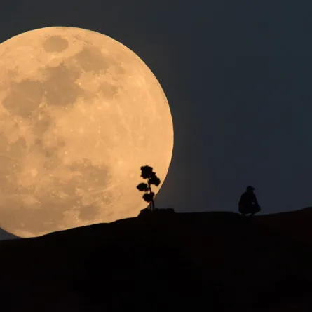 القمر العملاق ينير سماء السعودية مرتين خلال شهر