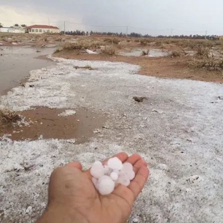 فيديو من حائل ينتشر عالميًا.. سر حبات البرد على الصحراء
