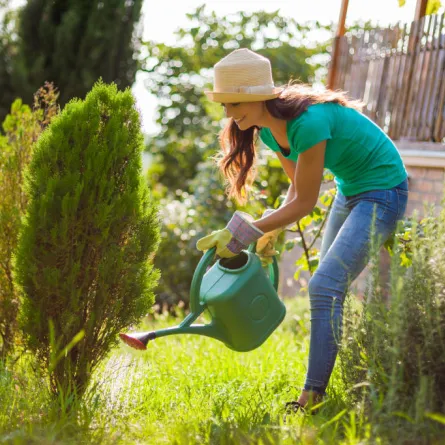 8 طرق لاستخدام الخل في الحديقة