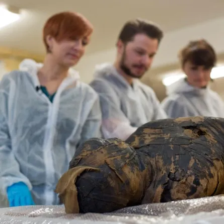 اكتشاف جنين داخل مومياء مصرية قديمة