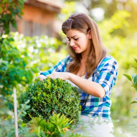 كيفية التخلص من الحشرات في حديقة المنزل؟