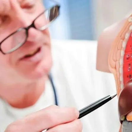 علماء يبتكرون آلية جديدة لعلاج تليف الكبد بدلا من زراعة الأعضاء