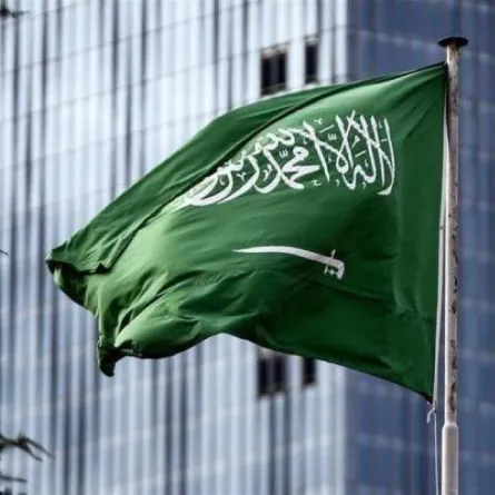 السفارة السعودية تكشف عن نظام التأشيرات الجديد في جنوب إفريقيا