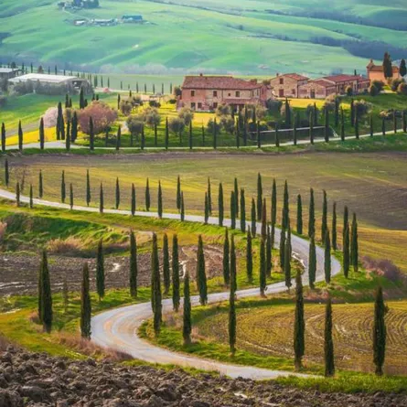 أفضل رحلات السيارة في العالم