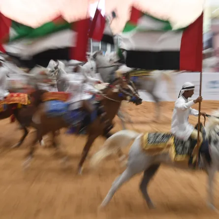 معرض أبوظبي الدولي للصيد والفروسية يُعلن عن مُسابقات