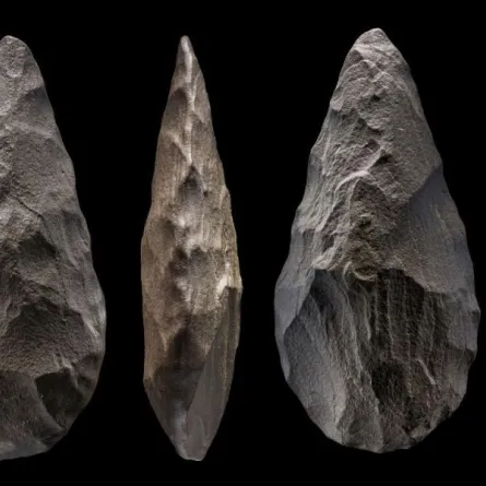 "النسيم" أول وأقدم موقع أشولي مؤرخ في السعودية