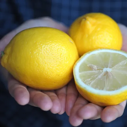  لن تصدقي فوائد بذور الليمون!