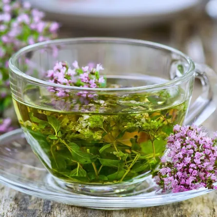 فوائد عشبة البردقوش للنساء.. مذهلة لتأخر الإنجاب!