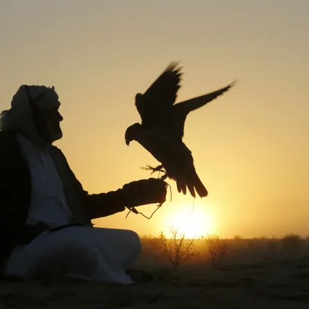معرض أبوظبي للصيد وأجمل القصائد في وصف الطير والمقناص