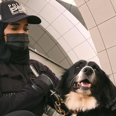 الكلاب البوليسية الأسرع في اكتشاف مصابي كورونا