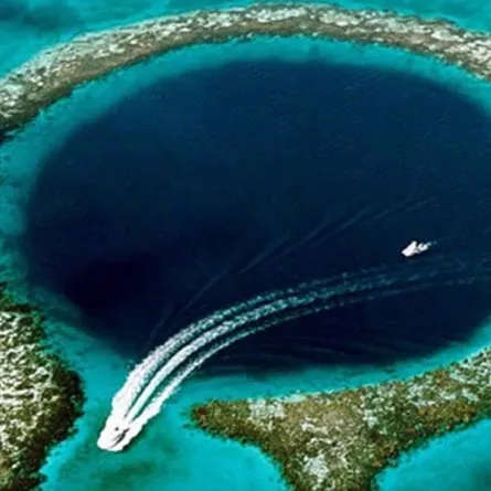 أغرب الصور التي حيرت العلماء