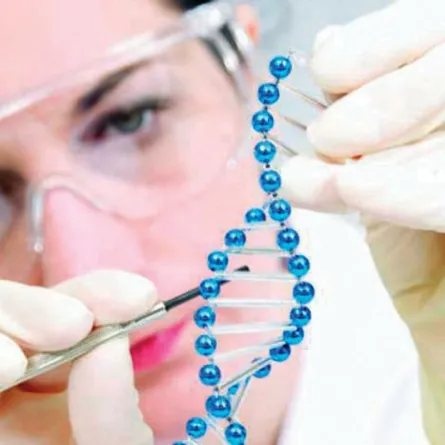 السعودية للطب الوراثي : زواج الأقارب أحد أسباب ارتفاع نسبة الأمراض الوراثية