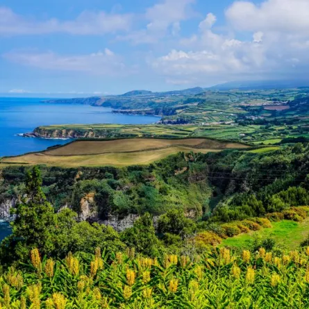 السياحة في جزر الأزور في البرتغال