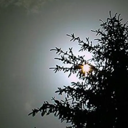 الجمعية الفلكية في جدة تحدد موعد رؤية حلقة بيشوب